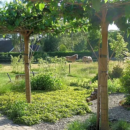 Achterhoeks Bed & Breakfast