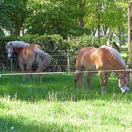 Bed & Breakfast Achterhoeks 3*