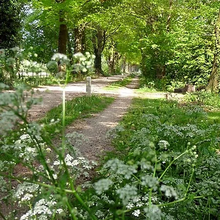 Bed & Breakfast Achterhoeks Halle