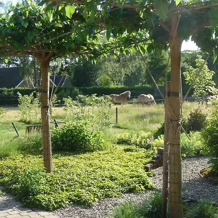 Achterhoeks Bed & Breakfast 3*