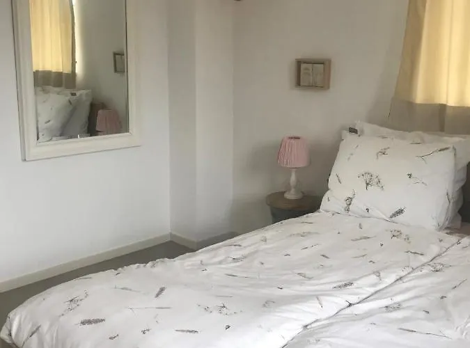 Achterhoeks 3* Halle