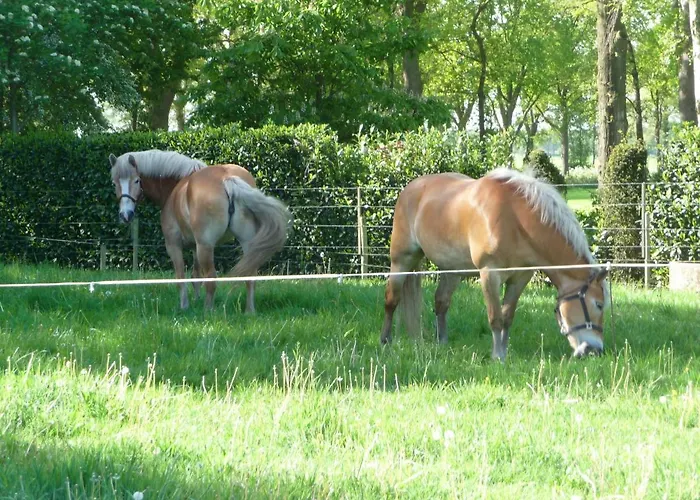 Bed & Breakfast Achterhoeks Halle