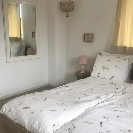 Achterhoeks 3* Halle