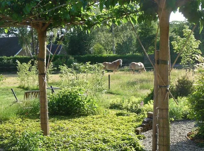 Achterhoeks Bed and breakfast 3*